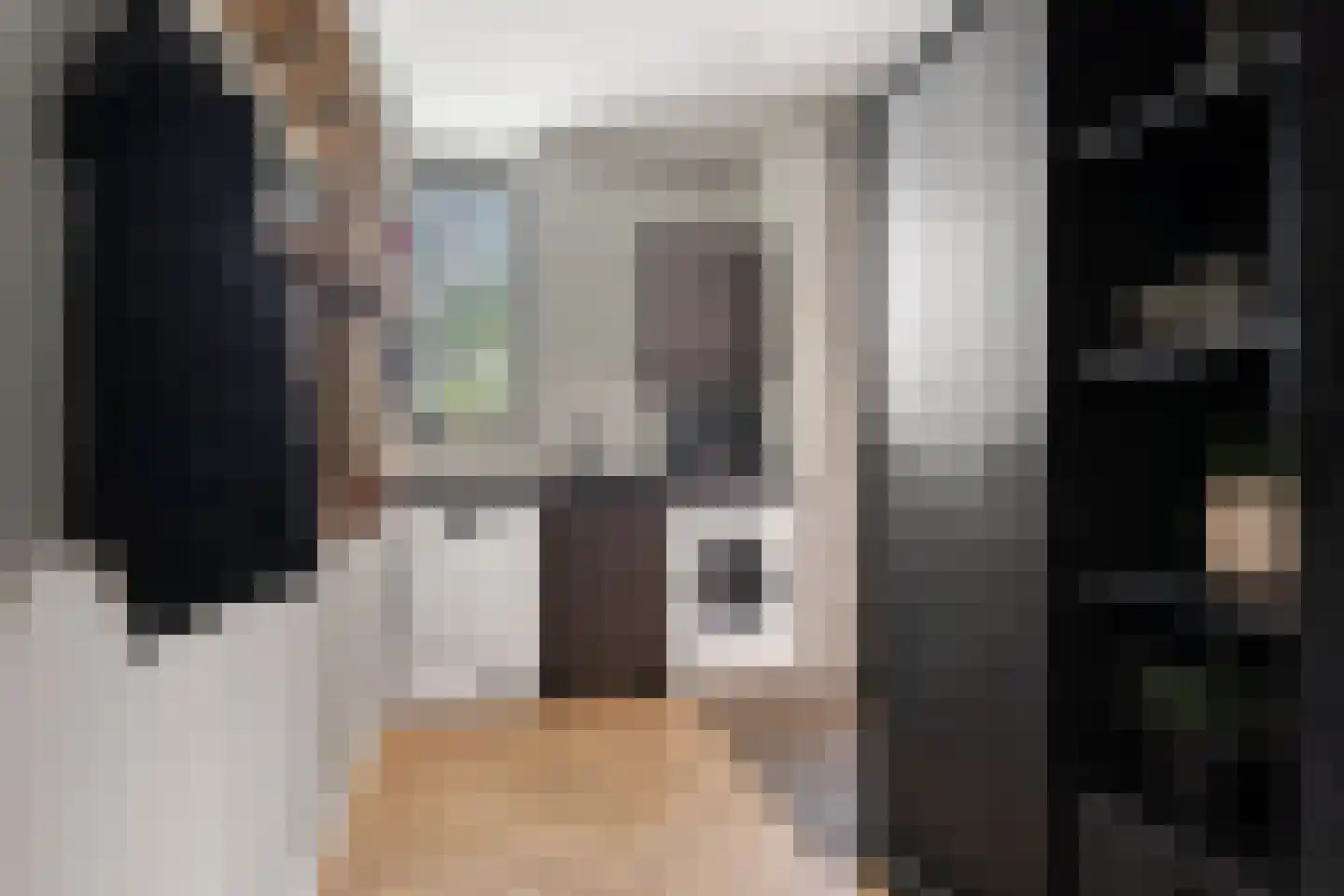De Scheifelaar 540 Veghel thumbnail 12
