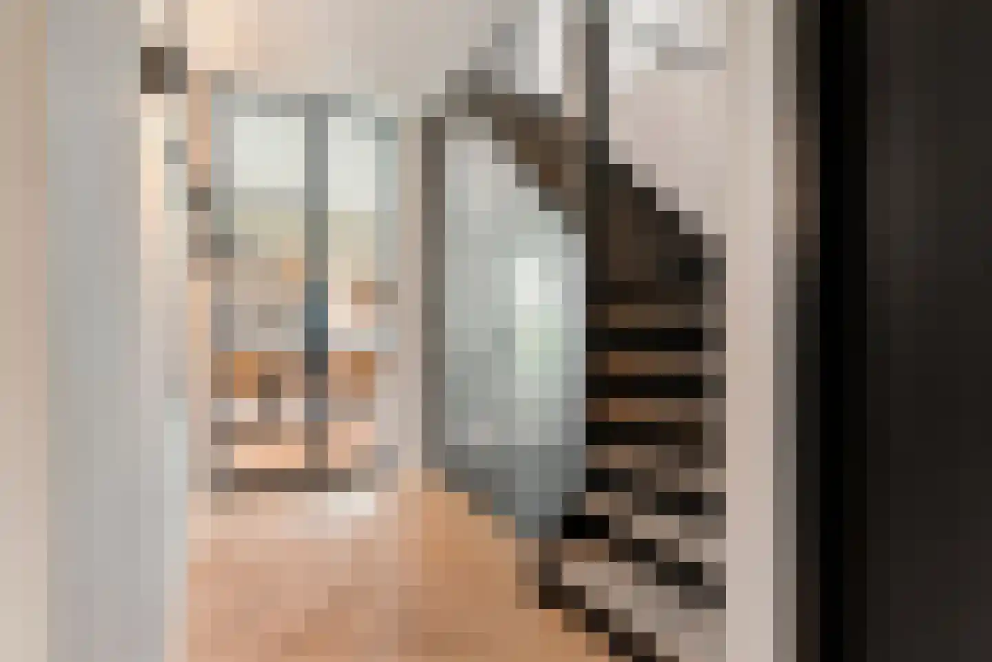 De Scheifelaar 540 Veghel thumbnail 13