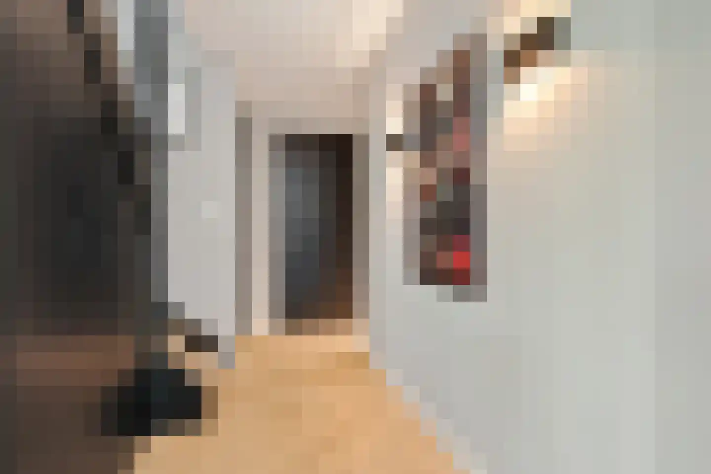 De Scheifelaar 540 Veghel thumbnail 15