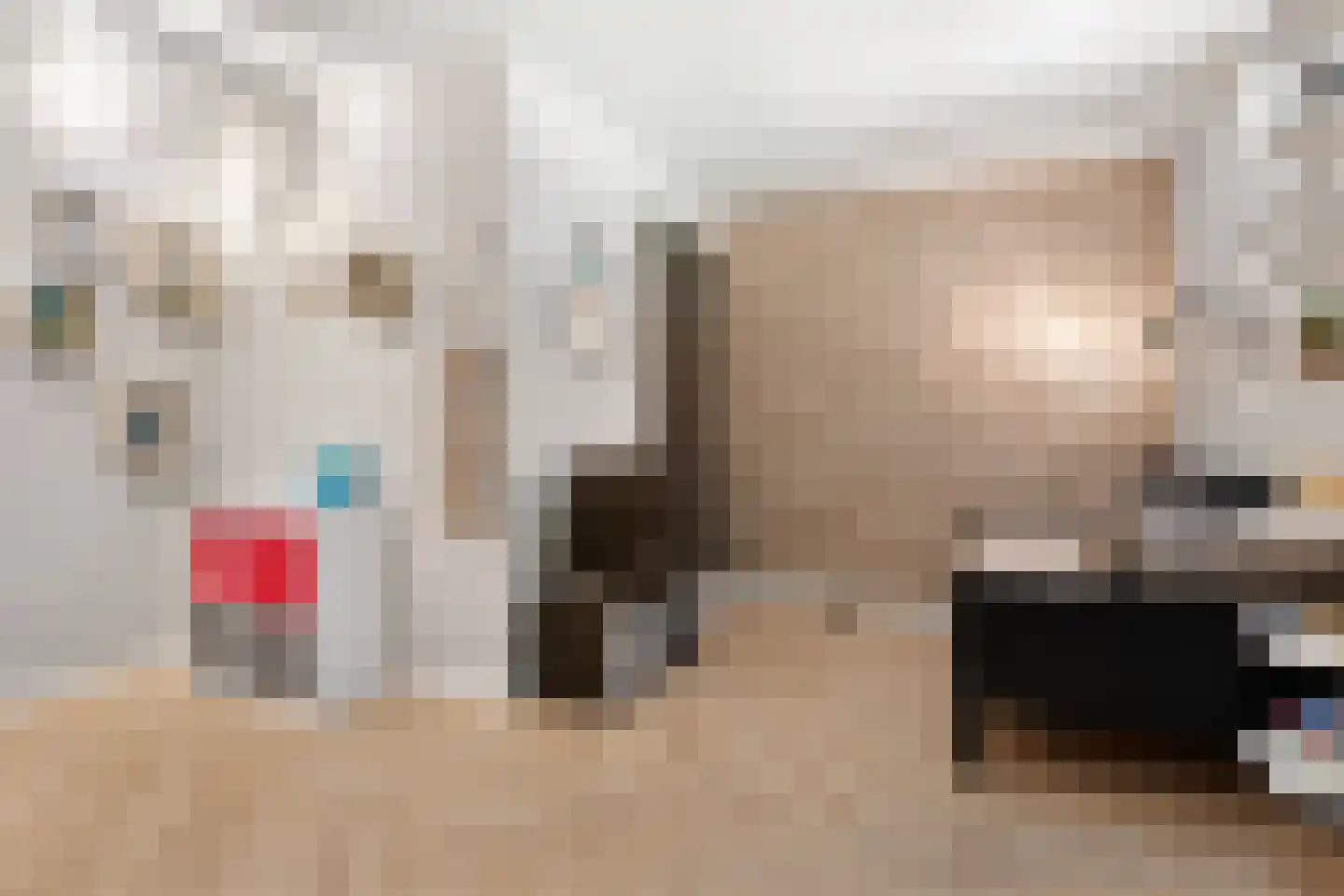 De Scheifelaar 540 Veghel thumbnail 18