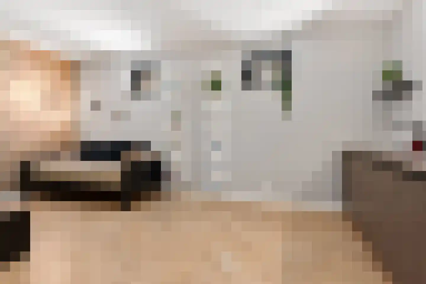 De Scheifelaar 540 Veghel thumbnail 19