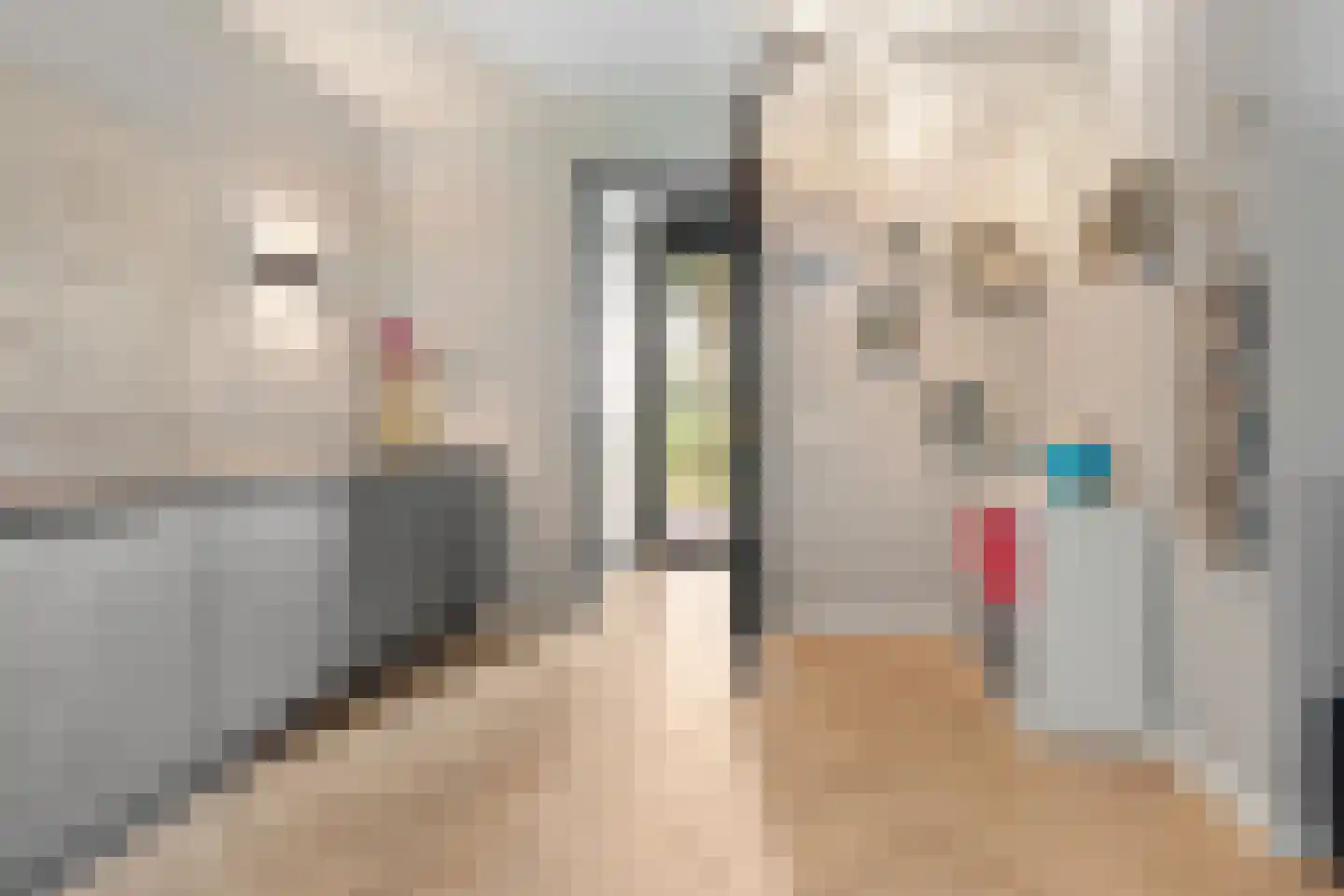De Scheifelaar 540 Veghel thumbnail 20