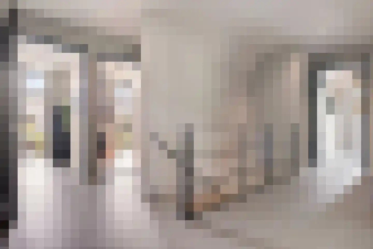 De Scheifelaar 540 Veghel thumbnail 24