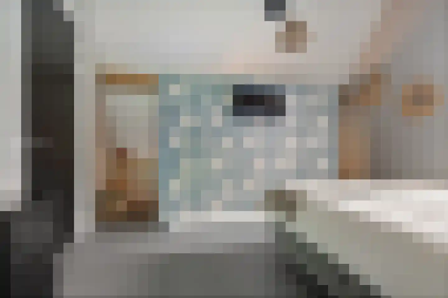 De Scheifelaar 540 Veghel thumbnail 26