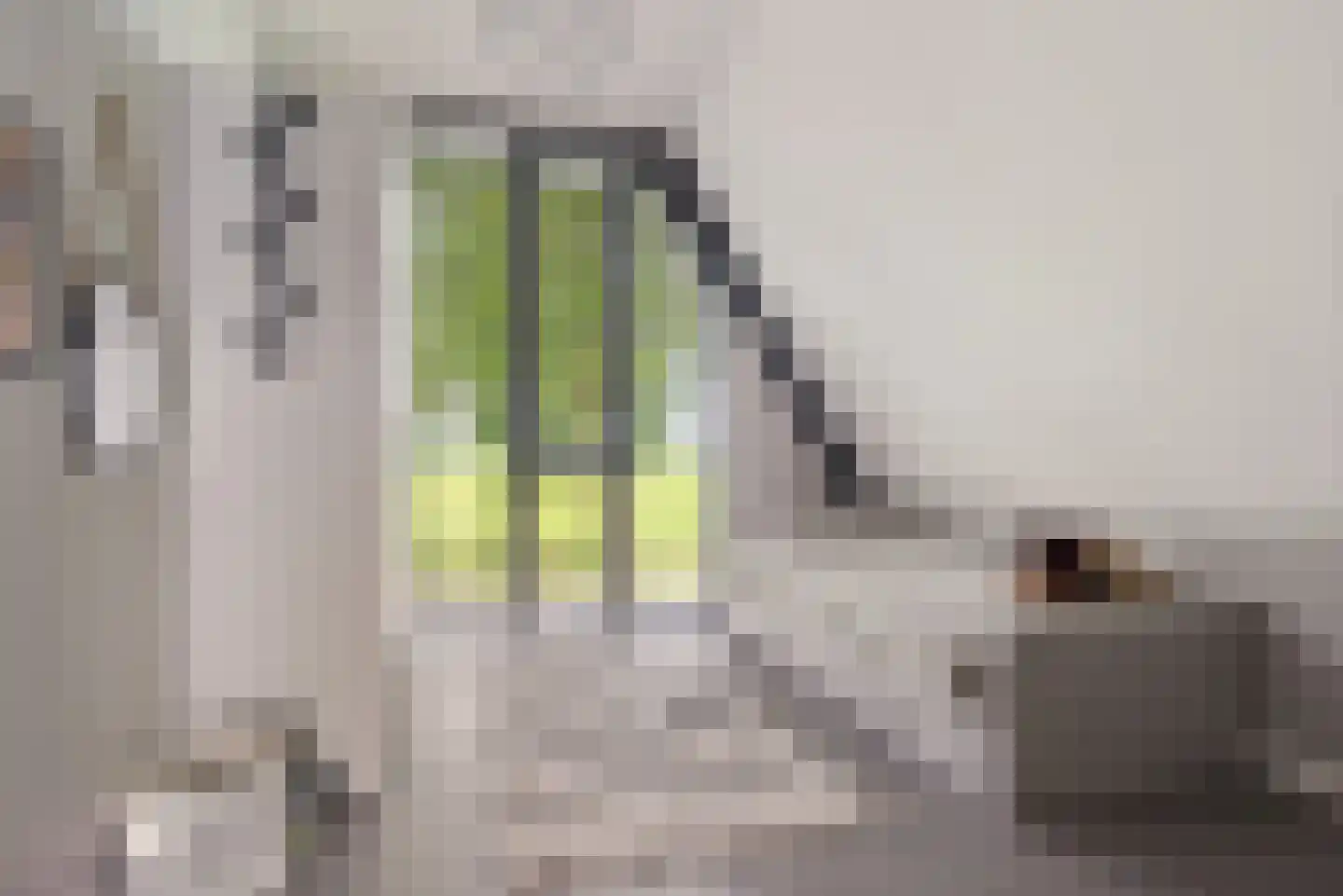 De Scheifelaar 540 Veghel thumbnail 28