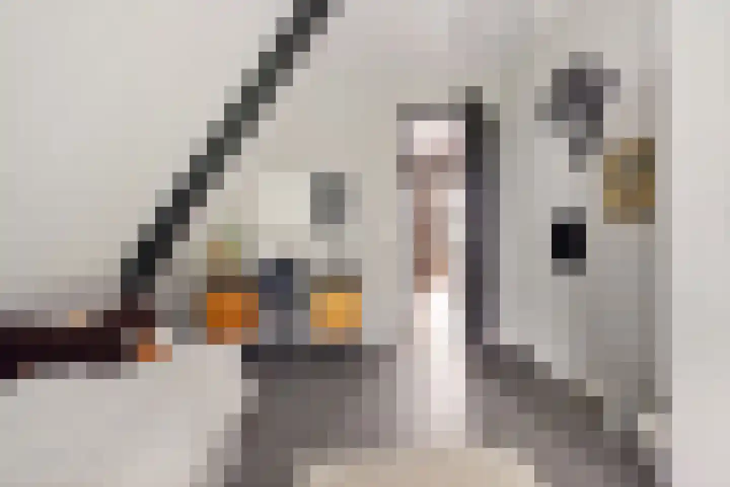 De Scheifelaar 540 Veghel thumbnail 29