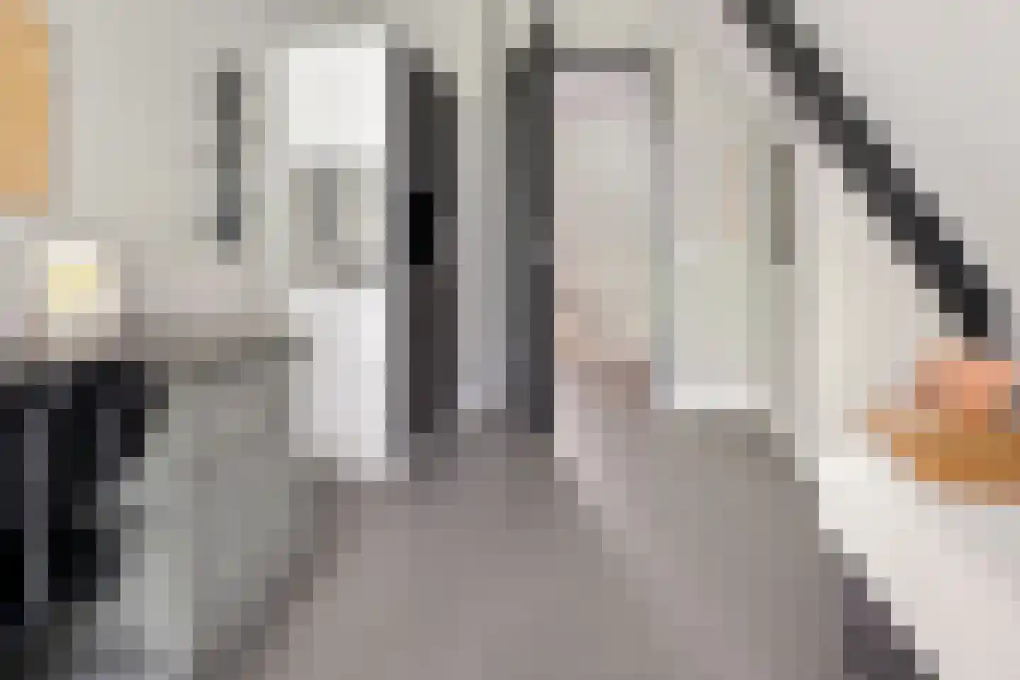 De Scheifelaar 540 Veghel thumbnail 31