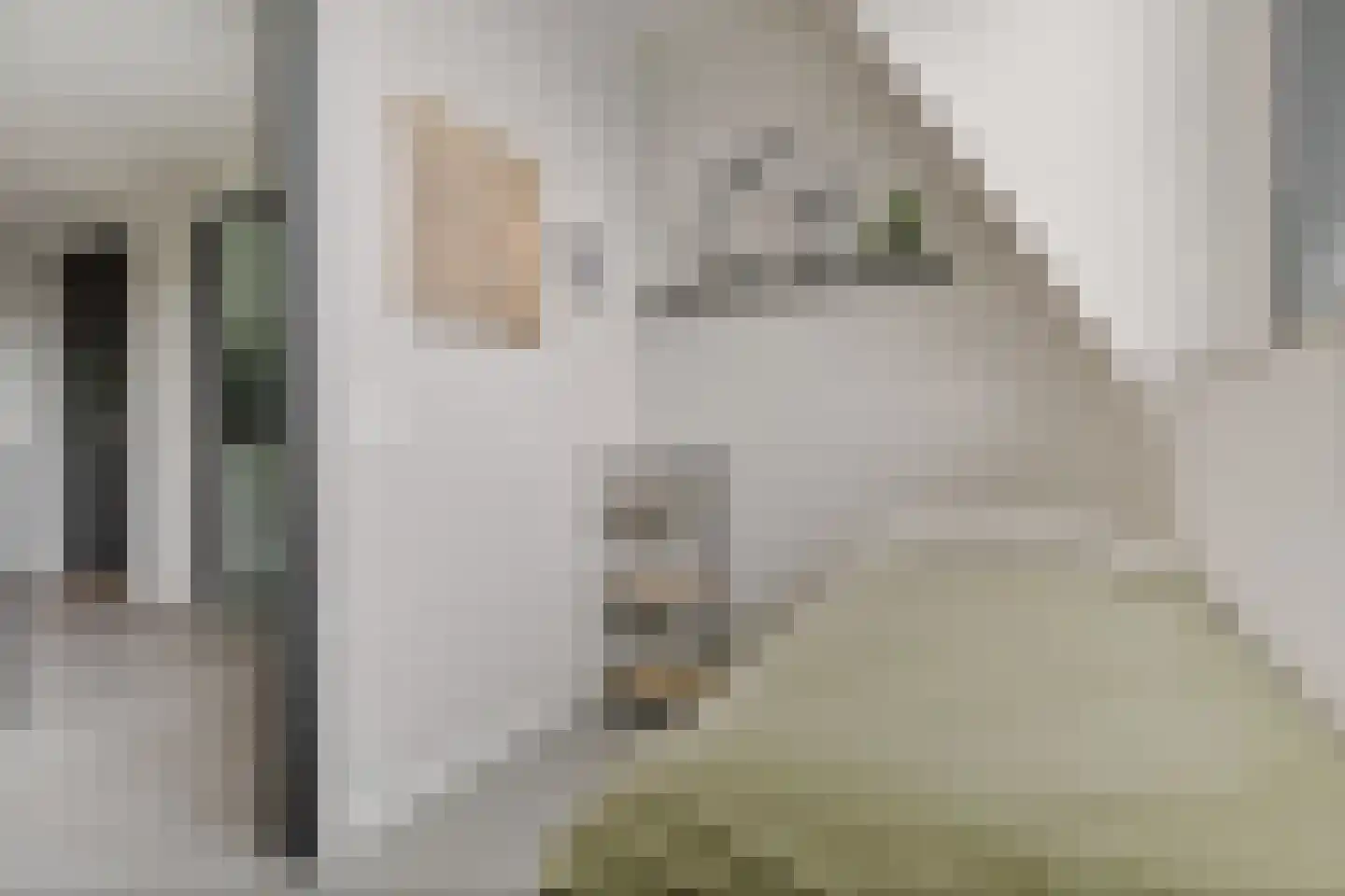De Scheifelaar 540 Veghel thumbnail 32