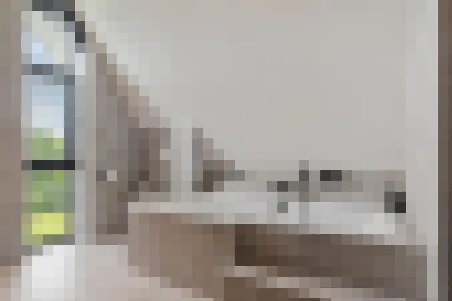 De Scheifelaar 540 Veghel thumbnail 34