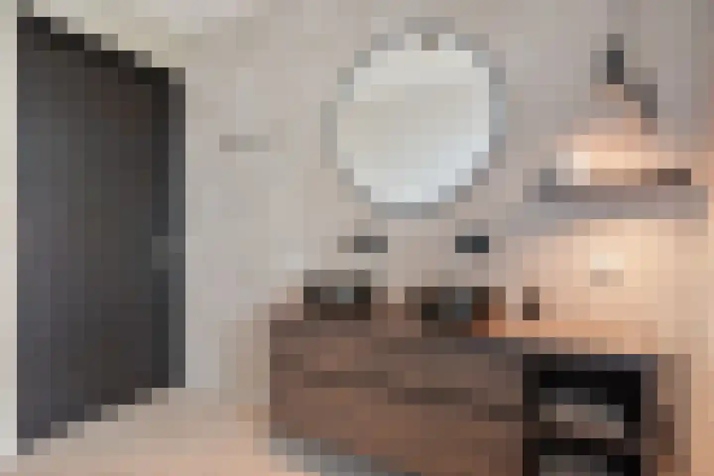 De Scheifelaar 540 Veghel thumbnail 36