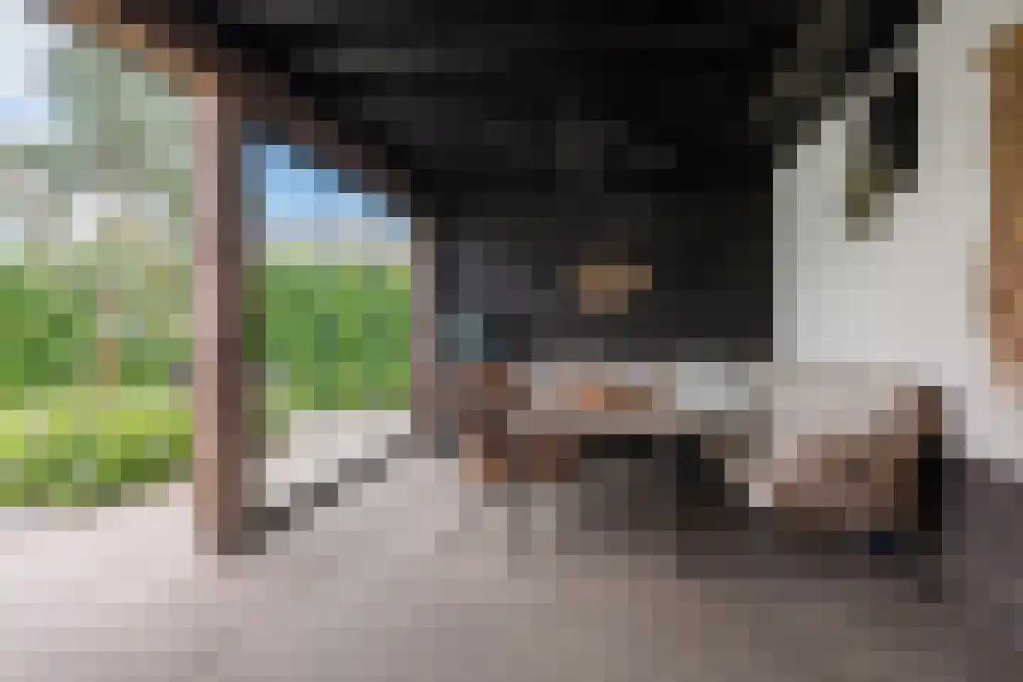 De Scheifelaar 540 Veghel thumbnail 39