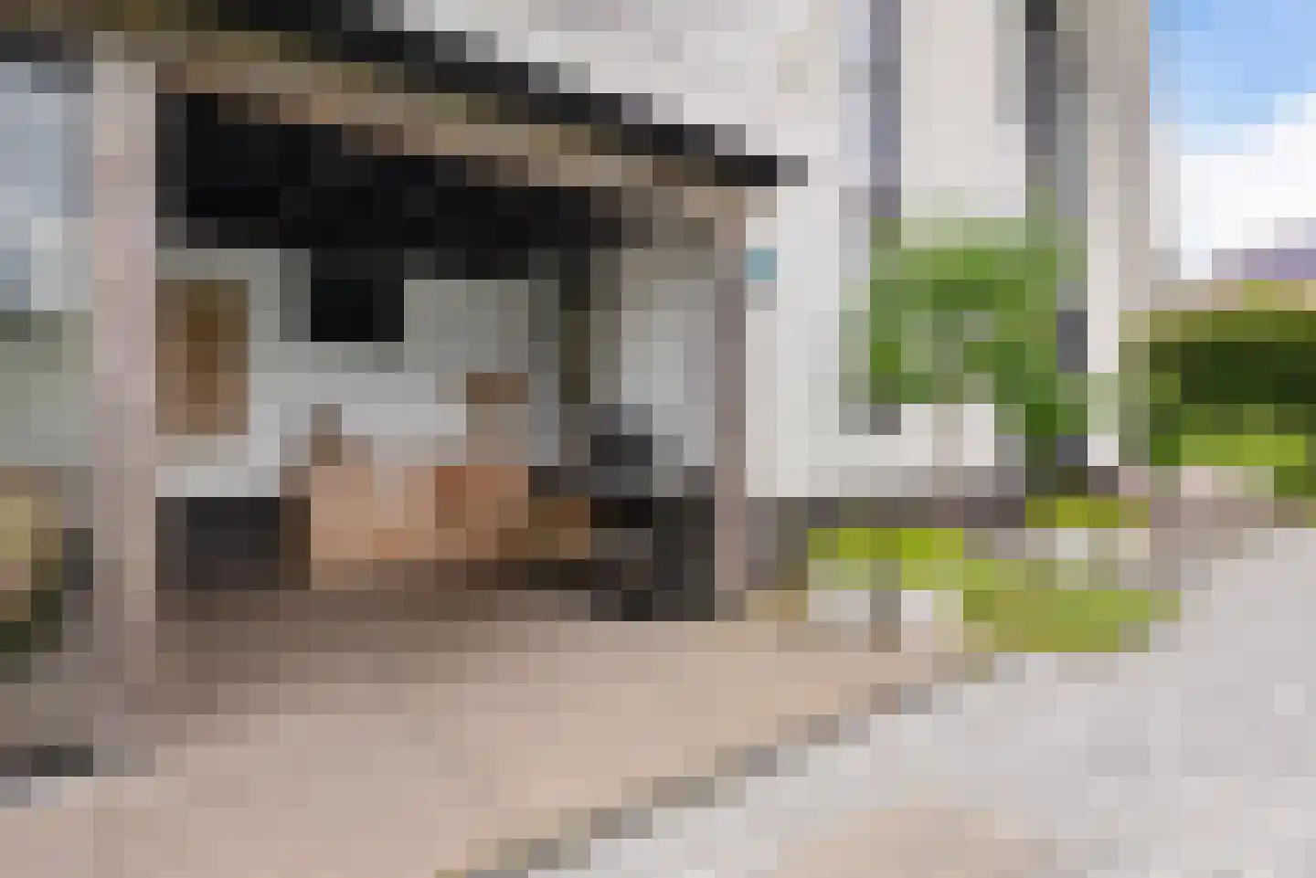 De Scheifelaar 540 Veghel thumbnail 41
