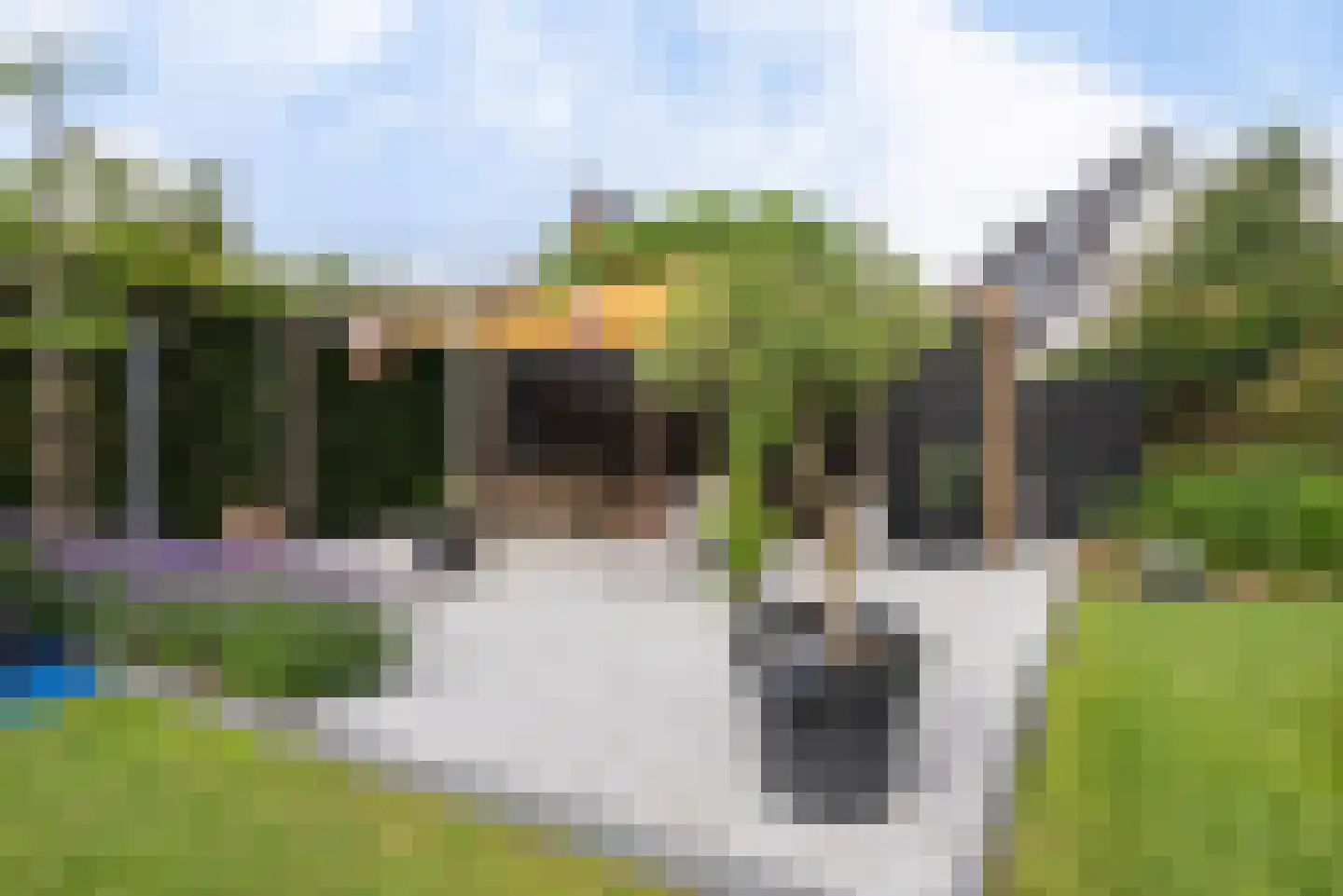 De Scheifelaar 540 Veghel thumbnail 42