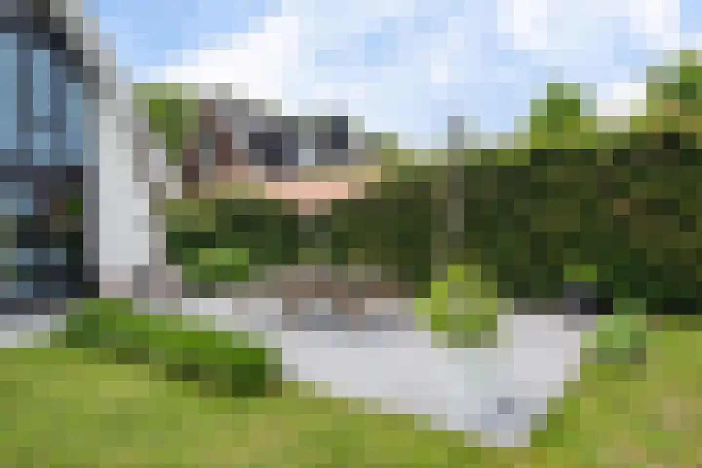 De Scheifelaar 540 Veghel thumbnail 43