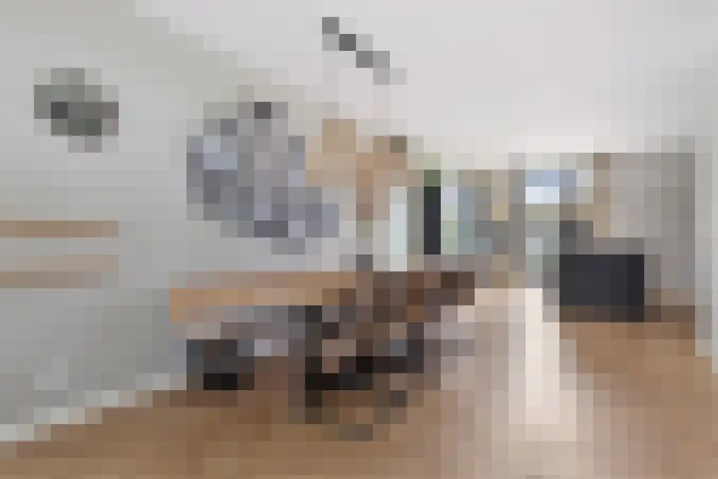 De Scheifelaar 540 Veghel thumbnail 7