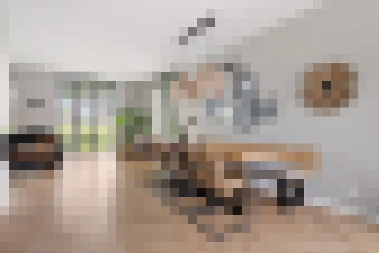 De Scheifelaar 540 Veghel thumbnail 8