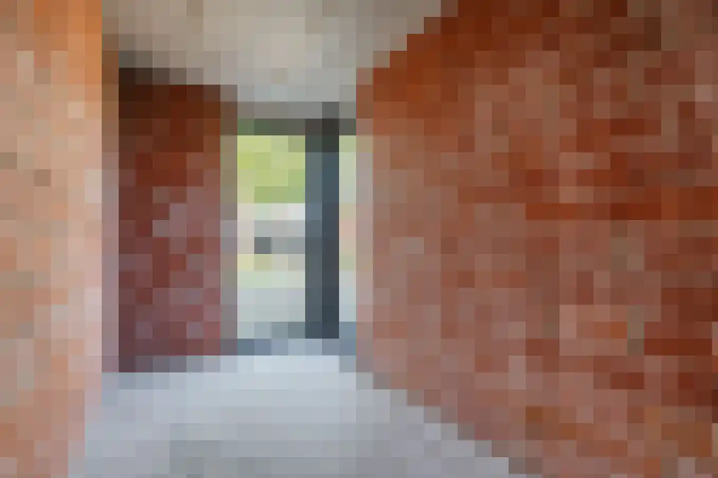 De Scheifelaar 552 Veghel thumbnail 30