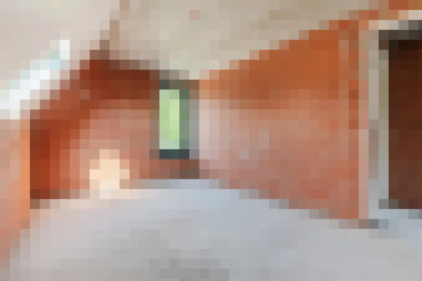 De Scheifelaar 552 Veghel thumbnail 44