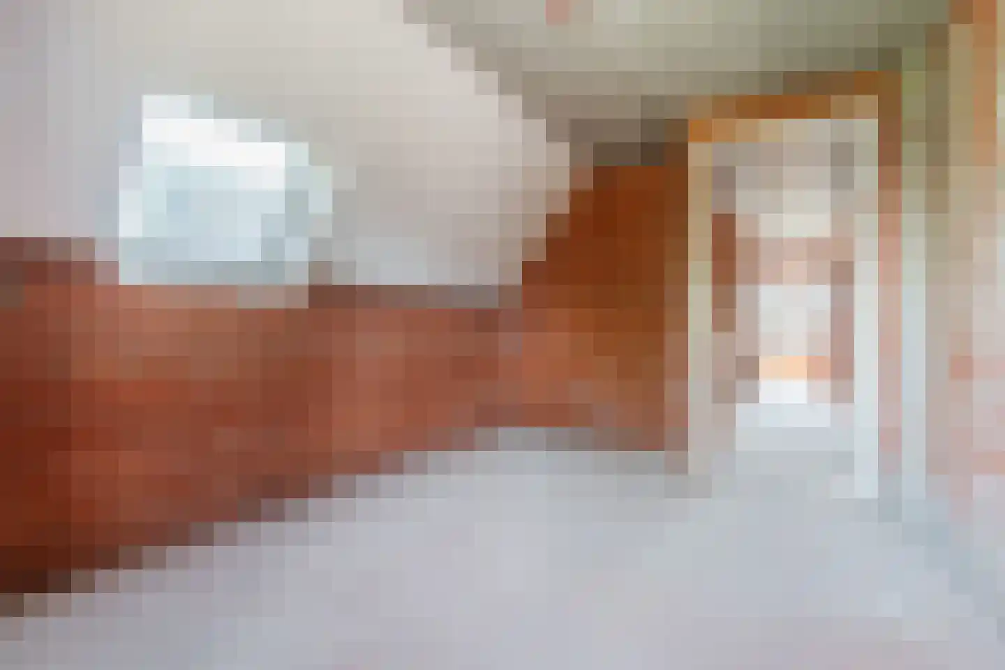 De Scheifelaar 552 Veghel thumbnail 46