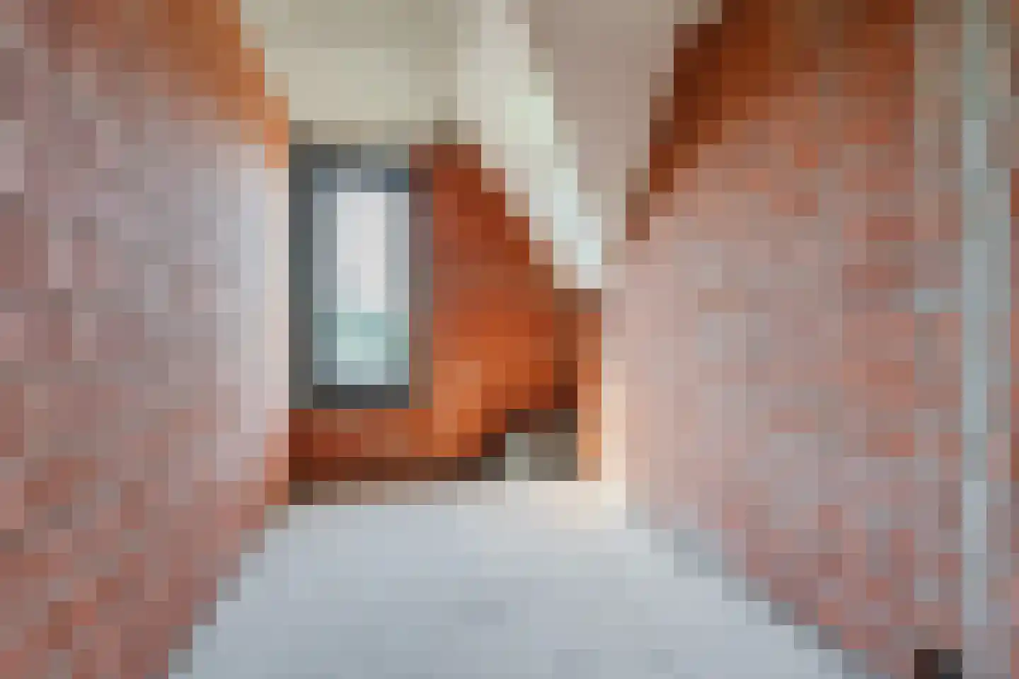 De Scheifelaar 552 Veghel thumbnail 47