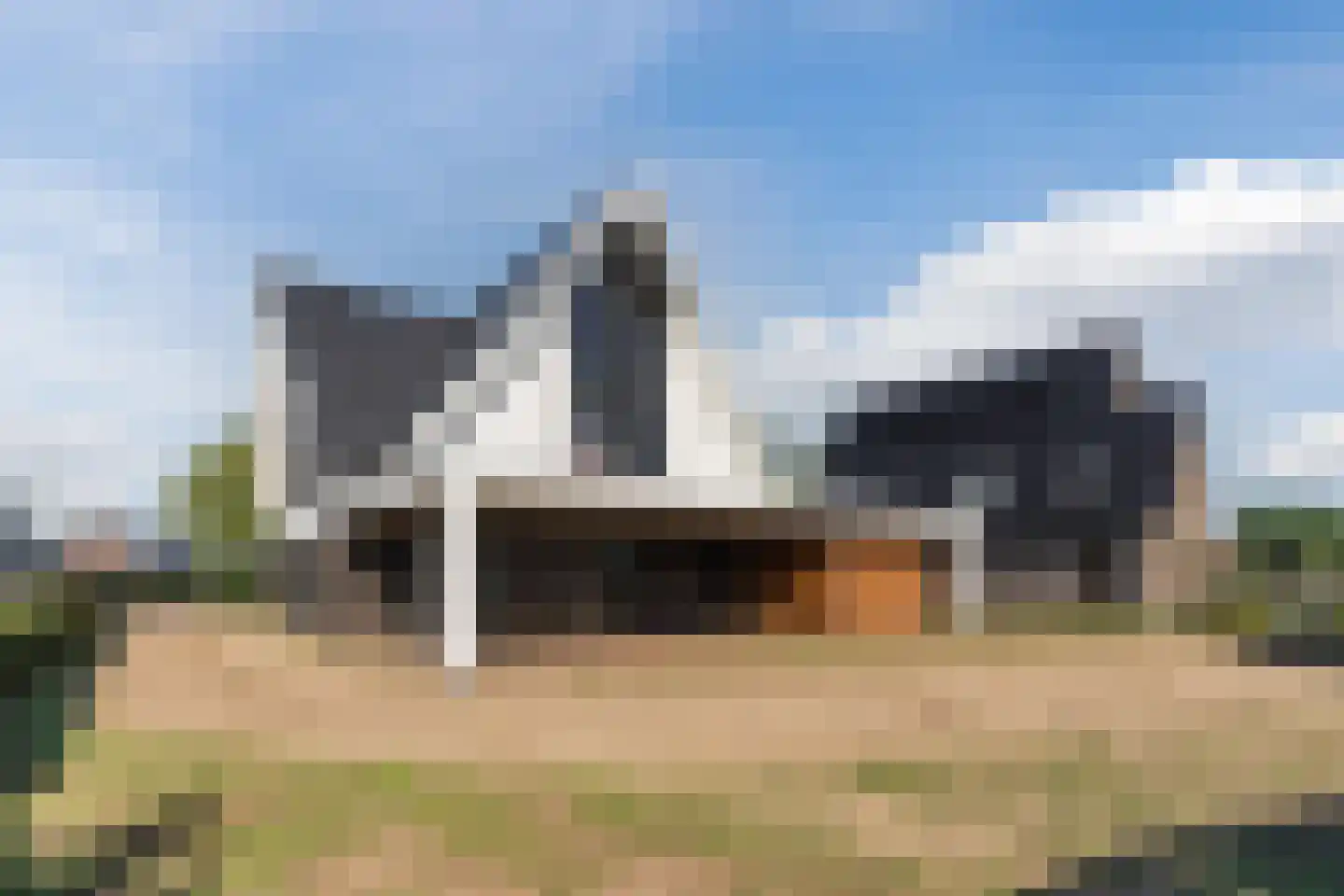 De Scheifelaar 552 Veghel thumbnail 5
