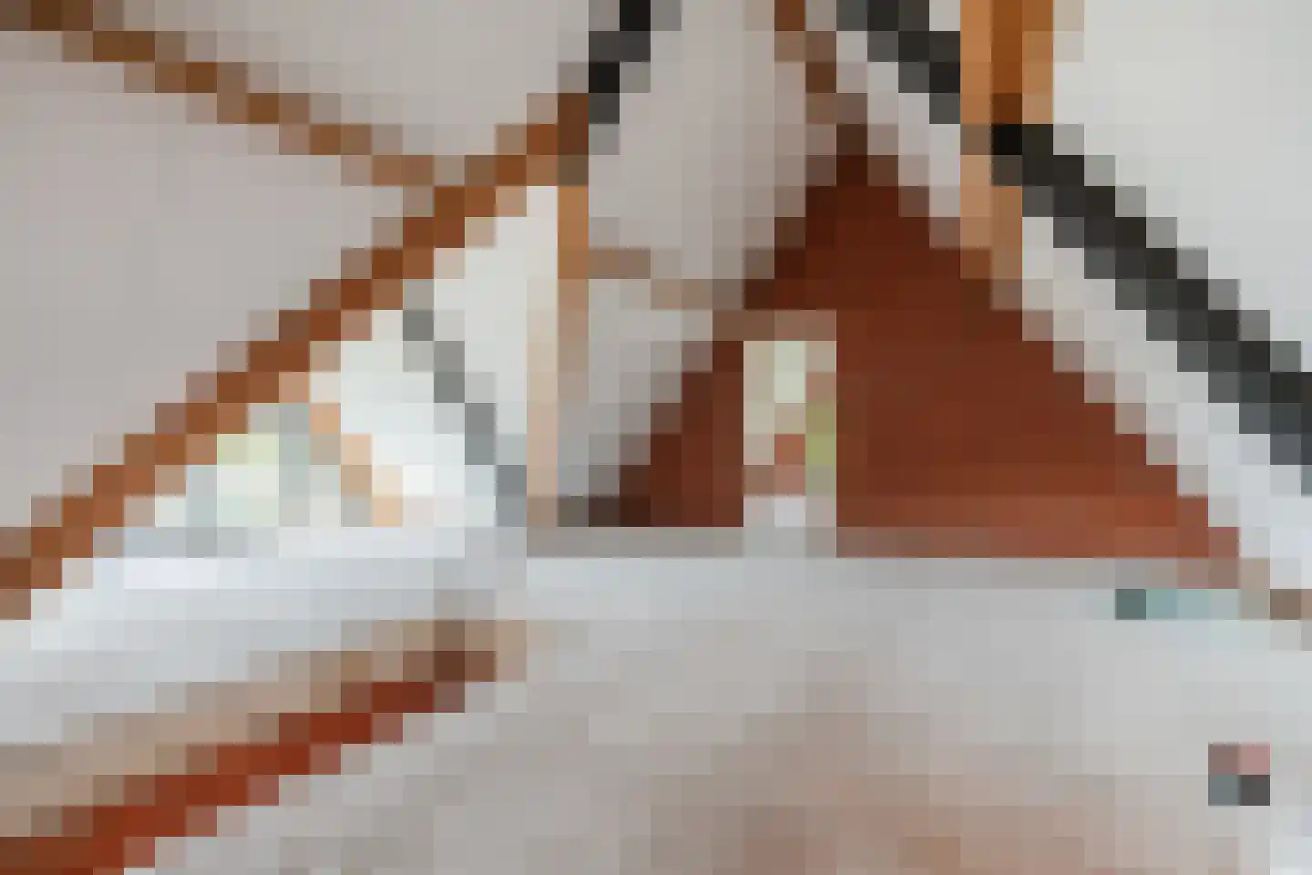 De Scheifelaar 552 Veghel thumbnail 54
