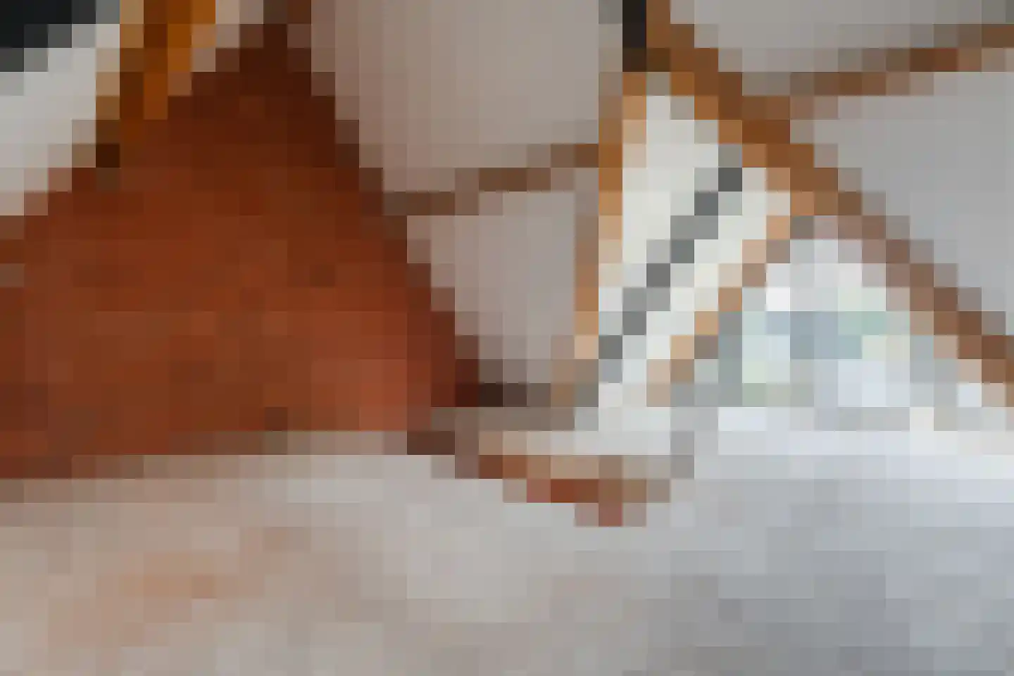 De Scheifelaar 552 Veghel thumbnail 55