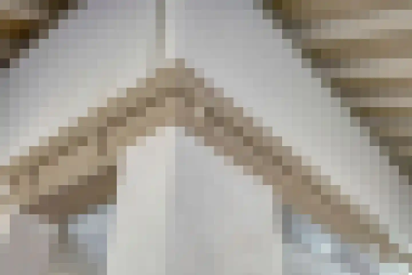 De Scheifelaar 6 Veghel thumbnail 11
