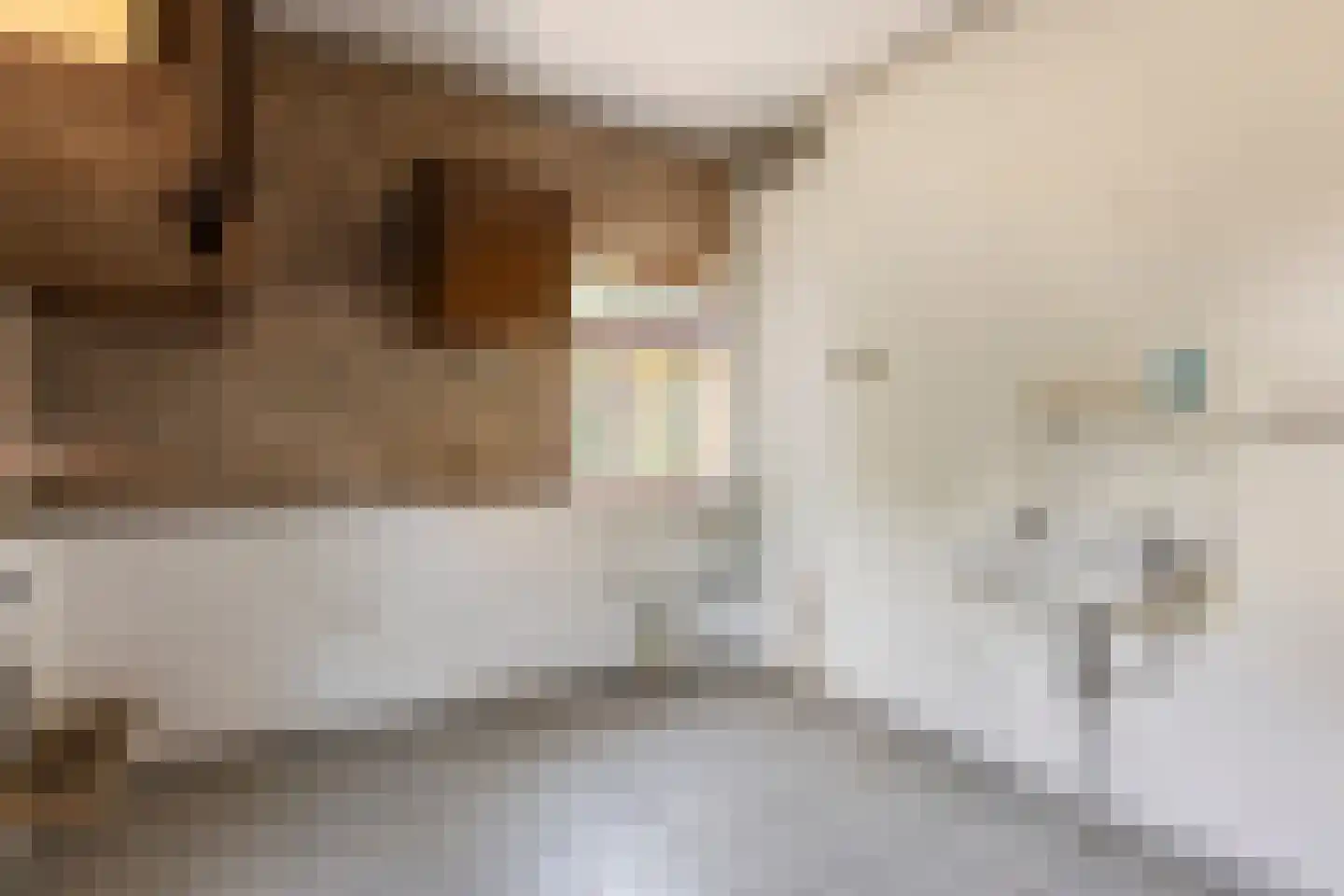 De Scheifelaar 6 Veghel thumbnail 14
