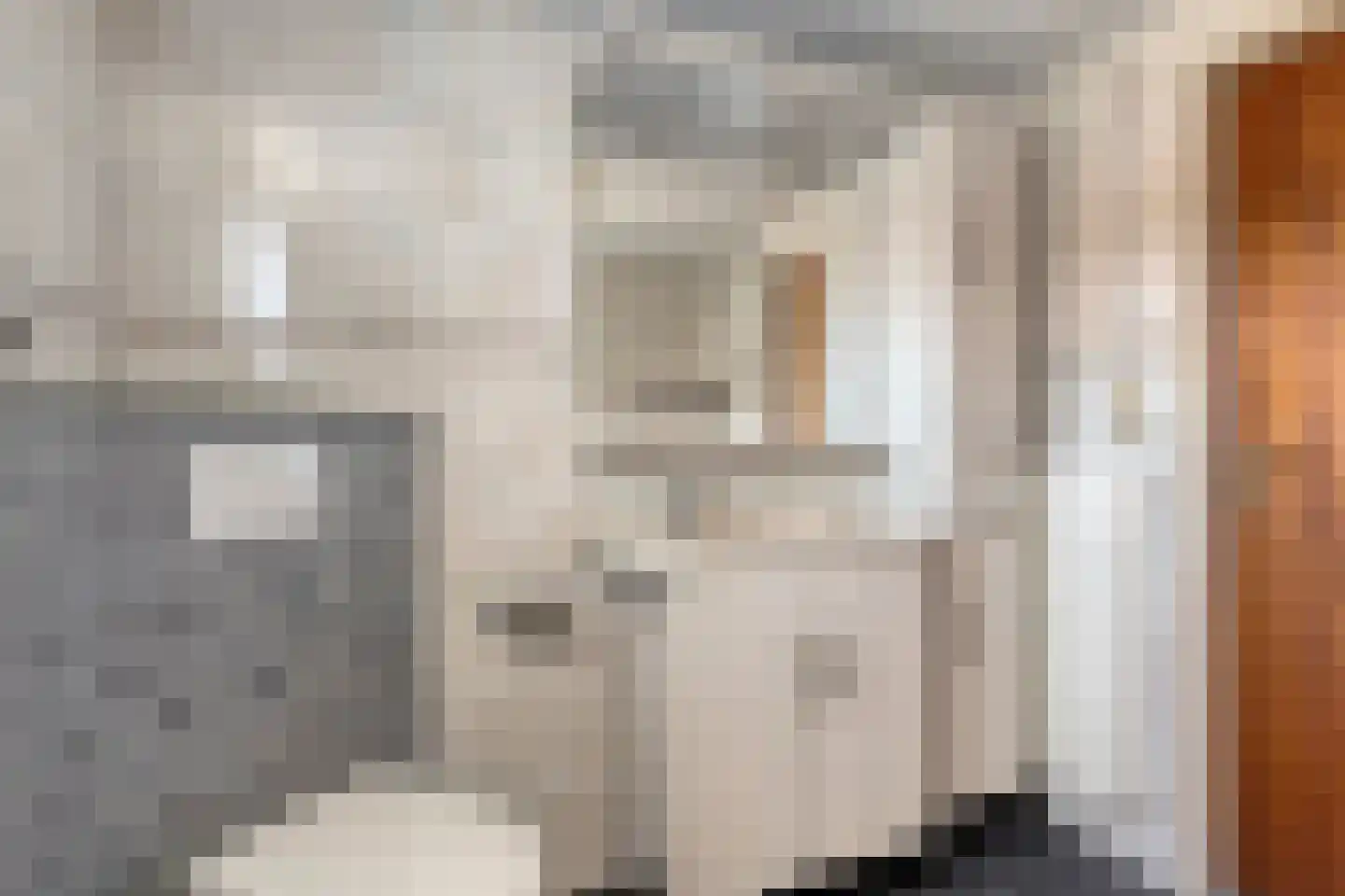 De Scheifelaar 6 Veghel thumbnail 22