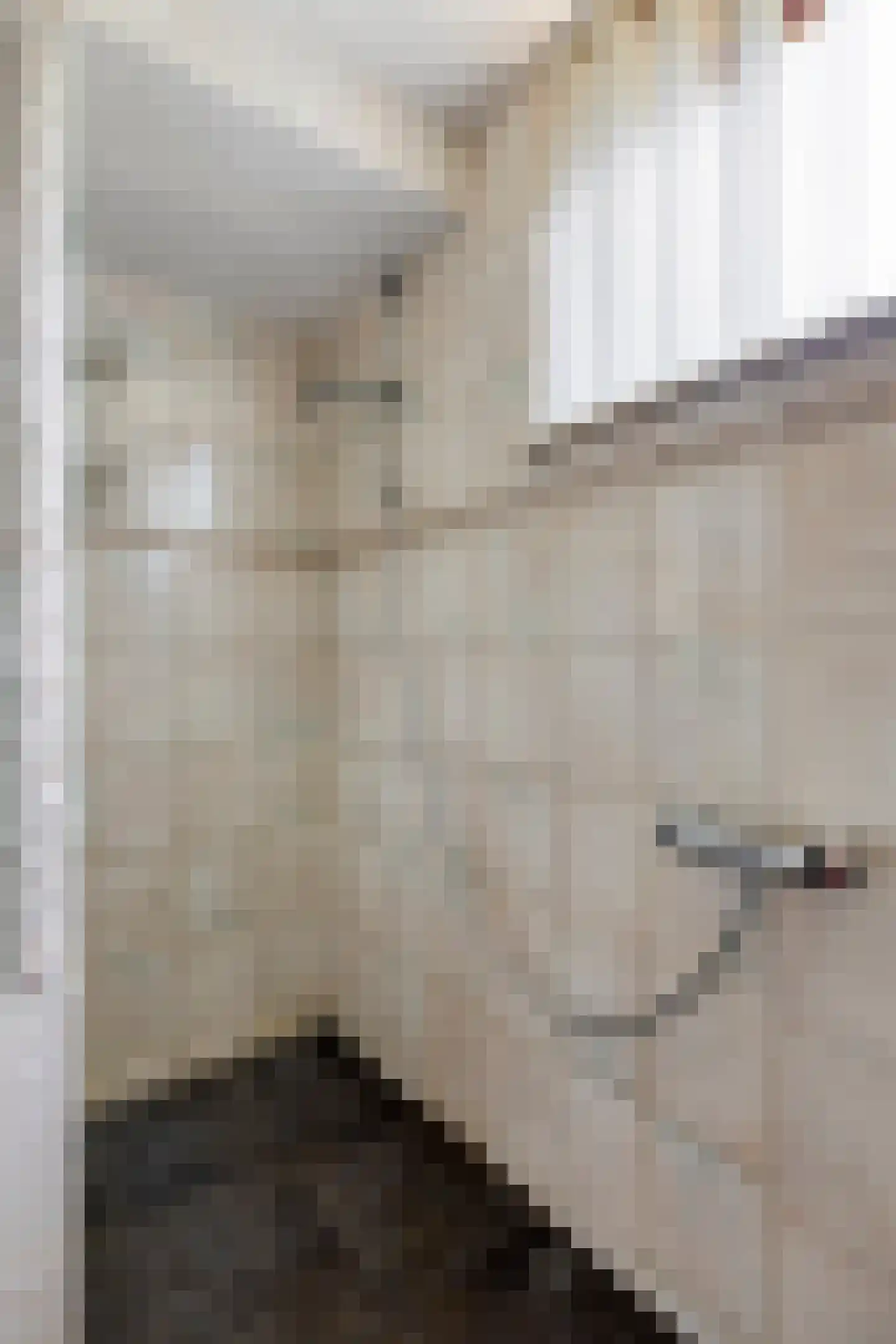 De Scheifelaar 6 Veghel thumbnail 23