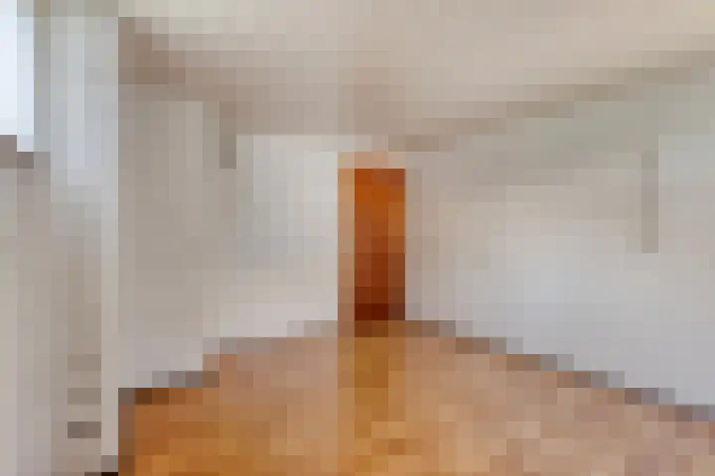 De Scheifelaar 6 Veghel thumbnail 26