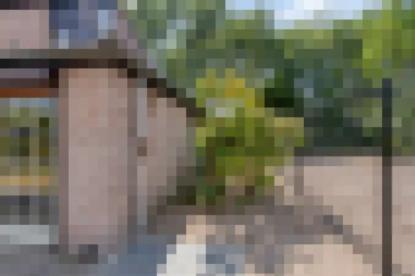 De Scheifelaar 6 Veghel thumbnail 29
