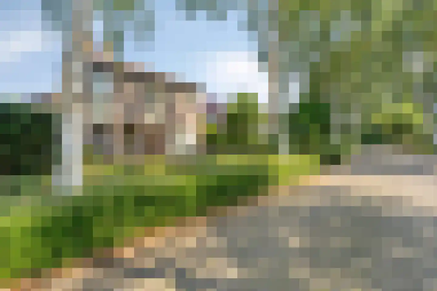 De Scheifelaar 6 Veghel thumbnail 34