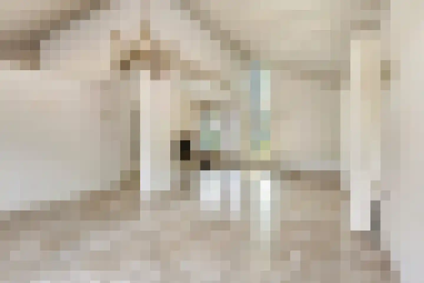 De Scheifelaar 6 Veghel thumbnail 6