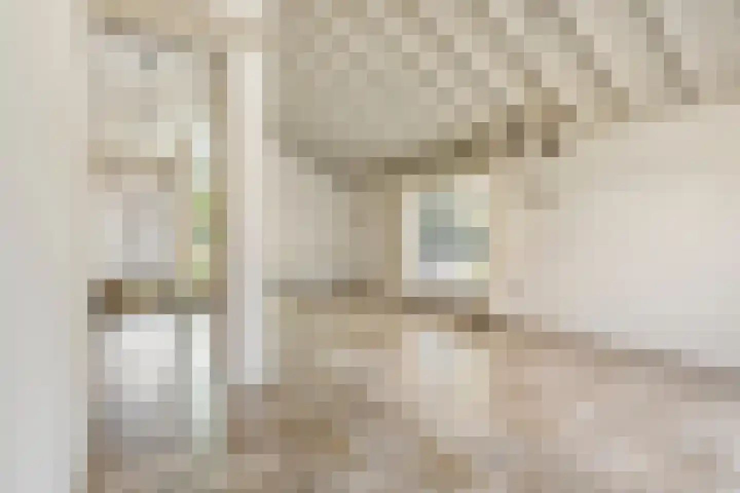 De Scheifelaar 6 Veghel thumbnail 7