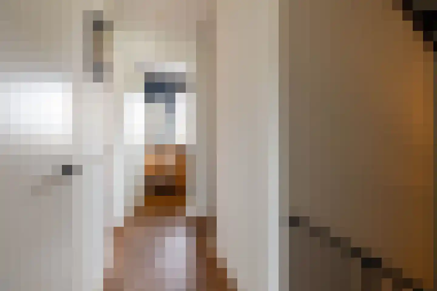 De Scheifelaar 626 Veghel thumbnail 14