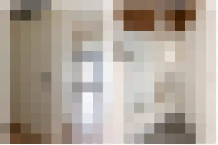 De Scheifelaar 626 Veghel thumbnail 15