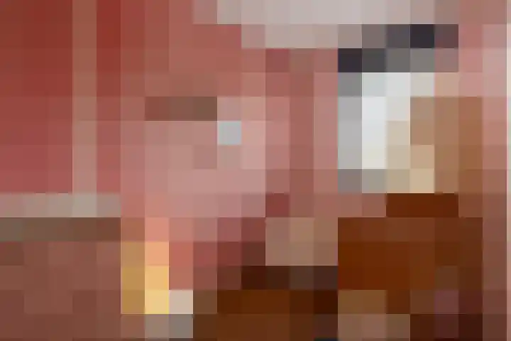 De Scheifelaar 626 Veghel thumbnail 21