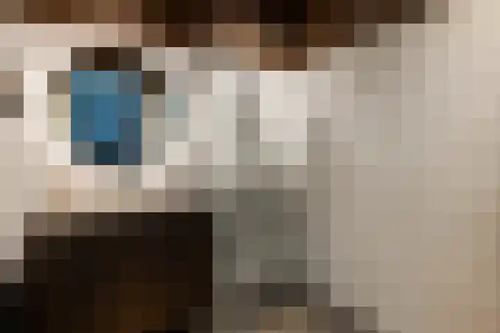 De Scheifelaar 626 Veghel thumbnail 22