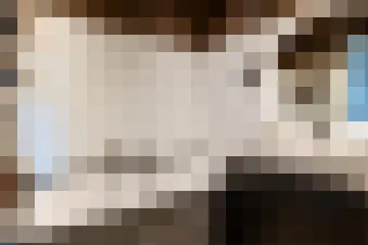 De Scheifelaar 626 Veghel thumbnail 23