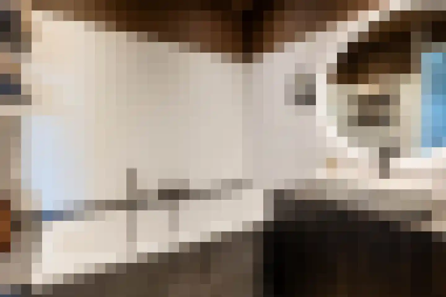 De Scheifelaar 626 Veghel thumbnail 23