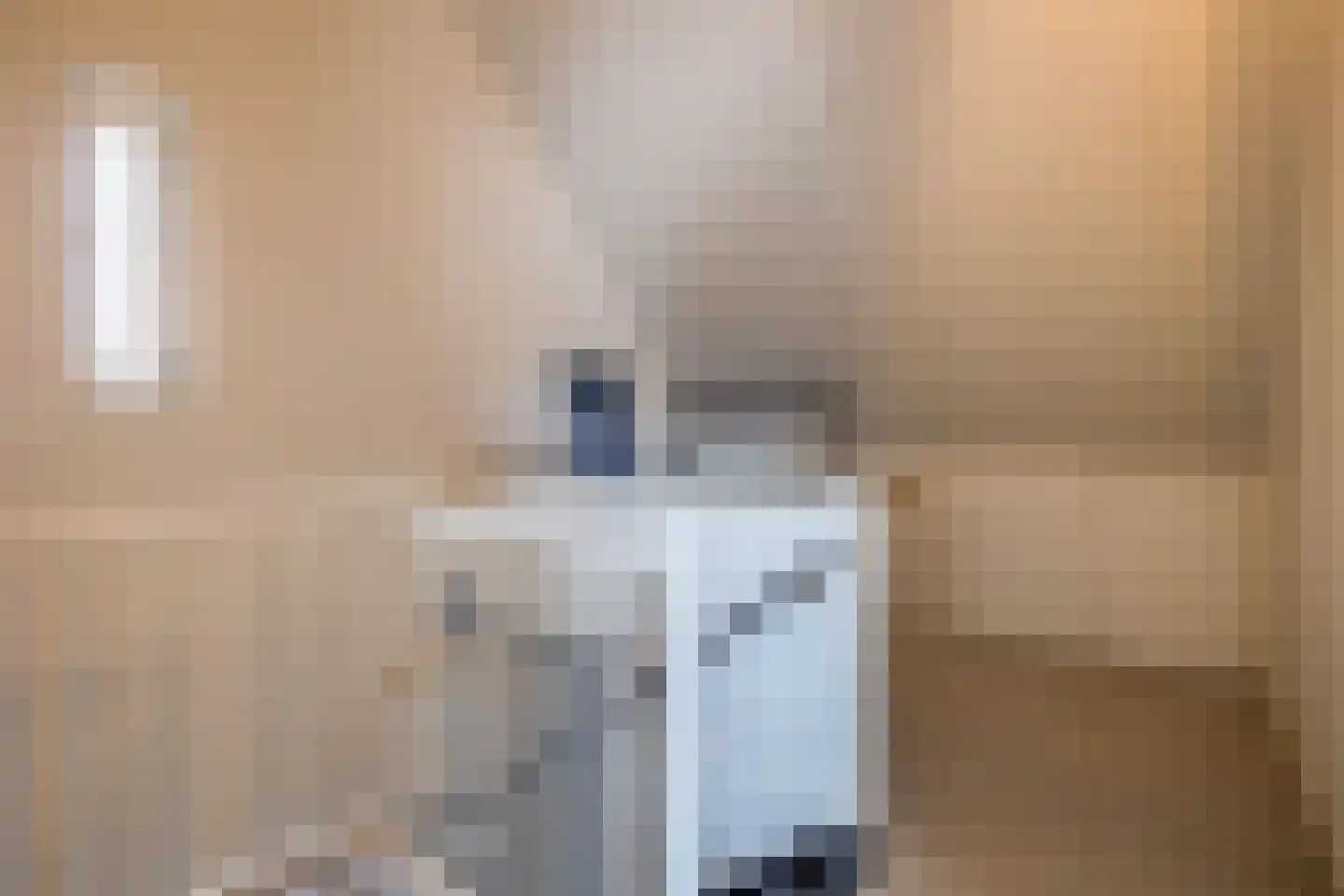 De Scheifelaar 626 Veghel thumbnail 24