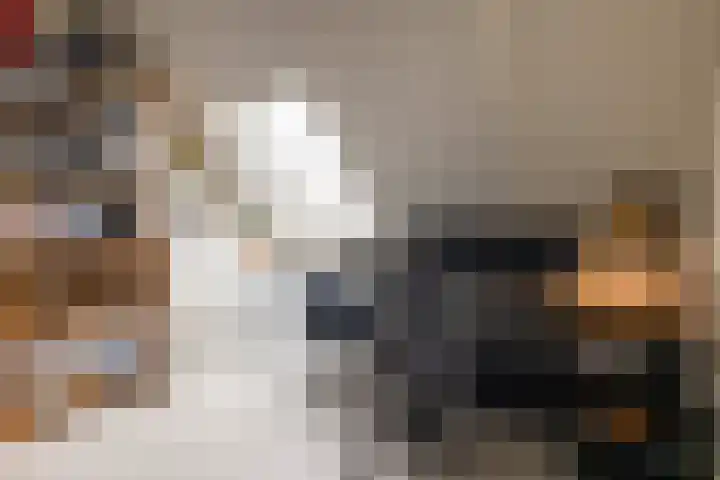 De Scheifelaar 626 Veghel thumbnail 25