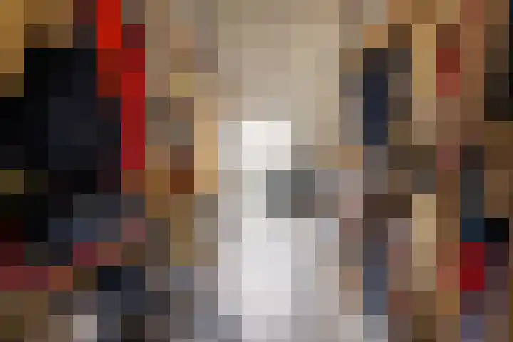 De Scheifelaar 626 Veghel thumbnail 26