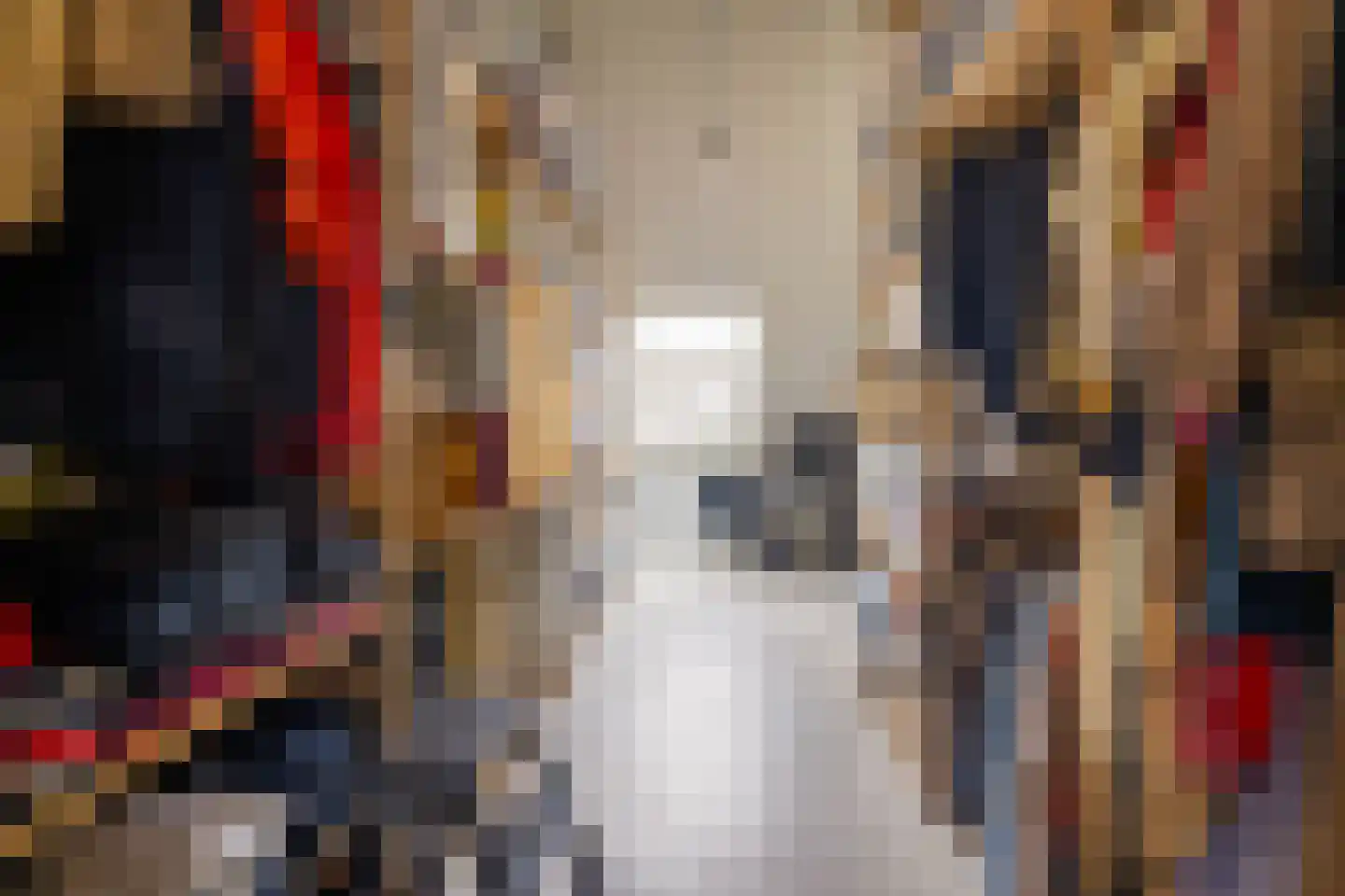 De Scheifelaar 626 Veghel thumbnail 26