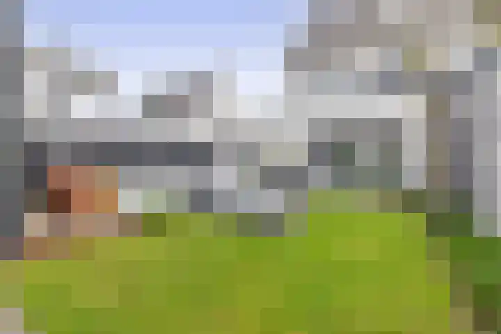 De Scheifelaar 626 Veghel thumbnail 29