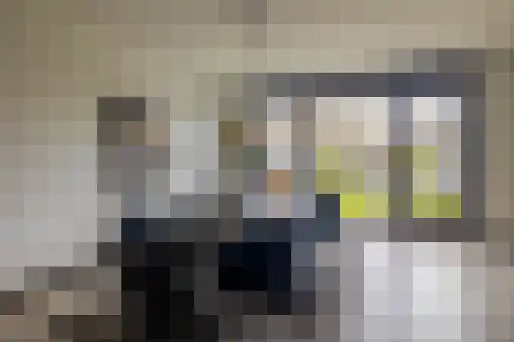 De Scheifelaar 626 Veghel foto 3
