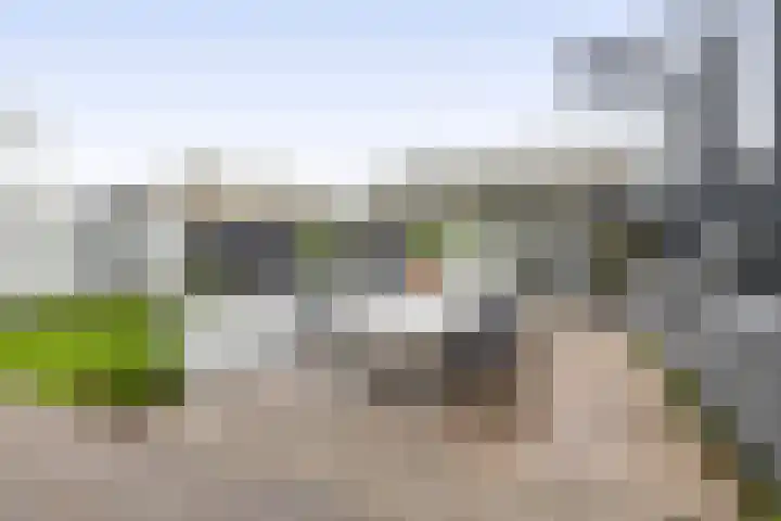 De Scheifelaar 626 Veghel thumbnail 32