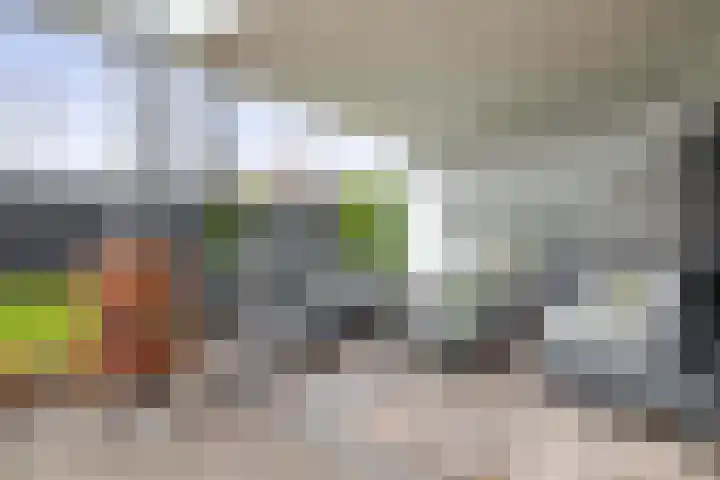 De Scheifelaar 626 Veghel thumbnail 33
